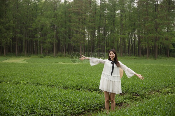 金龙大厦茶韵，健康养生，夜生活新体验